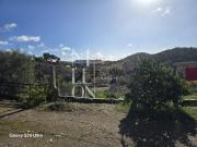 Casa em ruína com muito potencial inserida num terreno...