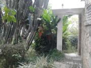 Casa em Vila Lageado, São Paulo/SP de 450m² 3 quartos...