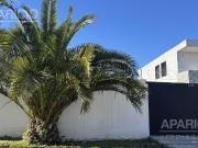 Casa en alquiler 499 6 y 7
