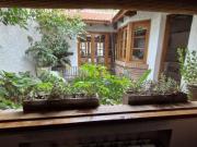 Casa en Alquiler Capital Mendoza