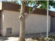 Casa en Alquiler Capital San Juan Casa en Alquiler Capital San Juan