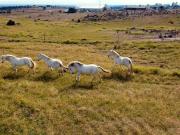 Casa en alquiler en Toledo Toledo