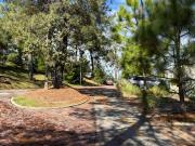 Casa en Altozano fraccionamiento Lobos