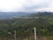 Casa en Arriendo, Buitrera, Cali Casa en Arriendo, Buitrera, Cali