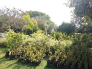 Casa en arriendo Carrera 12 127 85, Bogotá, Bogotá, D.c Col