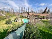 Casa en Arriendo en Algarrobal