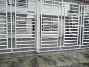 Casa En Arriendo En Cali En El Limonar A268904