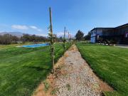 Casa en Arriendo en Camino interior fundo la Laguna Batuco
