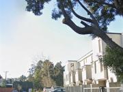Casa en Arriendo en cerca de la avenida calican