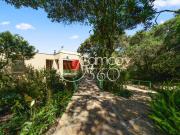 Casa En Arriendo En Chia En Parcelacion Sindamanoy A226790