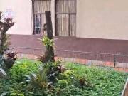 Casa en arriendo en el norte Armenia, Quindio