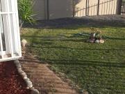 Casa en Arriendo en Machalí