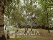 Casa en Arriendo en Manquimavida Casa en Arriendo en Manquimavida