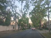 Casa en arriendo en PEÑAFLOR Casa en arriendo en PEÑAFLOR