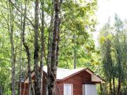 Casa en Arriendo en Pucón 2 dormitorios 1 baño