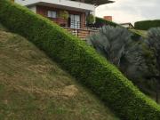 casa en arriendo en pueblito cafetero. Cod A122644