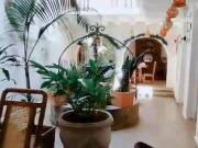 casa en arriendo en san diego. Cod A300