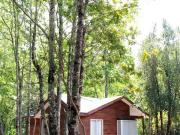 Casa en Arriendo en Sector Sara Vergara, Pucón La Araucanía Casa en Arriendo en Sector Sara Vergara, Pucón La Araucanía