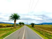 Casa en arriendo en VALPARAÍSO Casa en arriendo en VALPARAÍSO