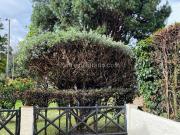 Casa en Arriendo, LA CALLEJA ALCALA, Bogotá D.C