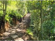 Casa en arriendo La Ceja, Antioquia