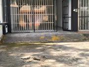 Casa en Arriendo, San Vicente, Cali