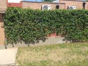 Casa en Barrio Belgrano