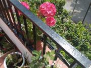 CASA EN BARRIO NARANJO