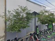 Casa en C. Josefa Ortiz de Domínguez 152, San Juan de...