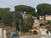 CASA EN CALONGE I SANT ANTONI