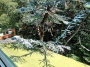 CASA EN CONDOMINIO, CLUB DE GOLF CHAPULTEPEC