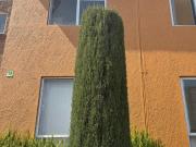 Casa en condominio con alberca, seguridad y recámara en... Casa en condominio con alberca, seguridad y recámara en...