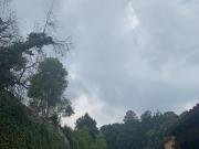 Casa en condominio en el bosque en Acopilco