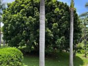 Casa en Condominio en Lomas de La Selva Cuernavaca IMS...