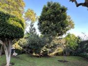 Casa en Condominio en Los Volcanes Cuernavaca MAZ 2464 Cd