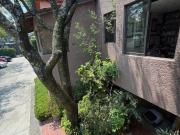 Casa en condominio en Renta Av San Fco