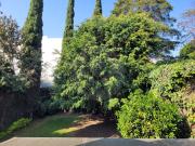 Casa en condominio en renta en Olivar de los Padres