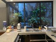 Casa en condominio en venta – Calle Aristóteles, Polanco