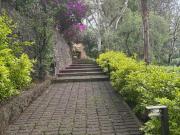 Casa en condominio en venta Calle Ignacio Aldama, Santa...