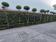 Casa en Condominio en Venta – Del Valle Centro