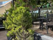 Casa en condominio en venta en Cuajimalpa