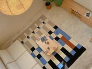 Casa en condominio en venta en ?lamos