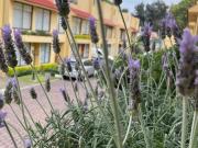 Casa en Condomino Ex Hacienda Coapa