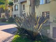 CASA EN EN EL BARRIO CLUB EL CARMEN