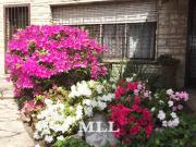 Casa en Flores con gran Jardin