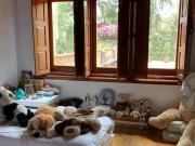 Casa en Fraccionamiento Villa Jard?n