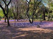 Casa en Jardines de Coyoac?n en Venta