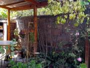 CASA EN LA REINA PARA REMODELAR BARRIO TIPICO