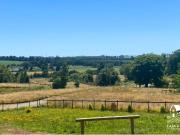 Casa en Linea Nueva Puerto Varas