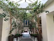 Casa en Lomas Country Club